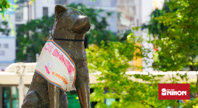 Hachiko chien akita inu tradition japon 8 avril